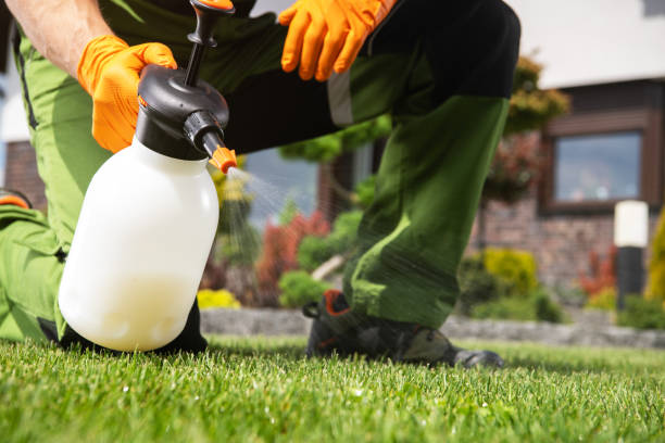 Best Pest Prevention Services  in Jefferson, IA