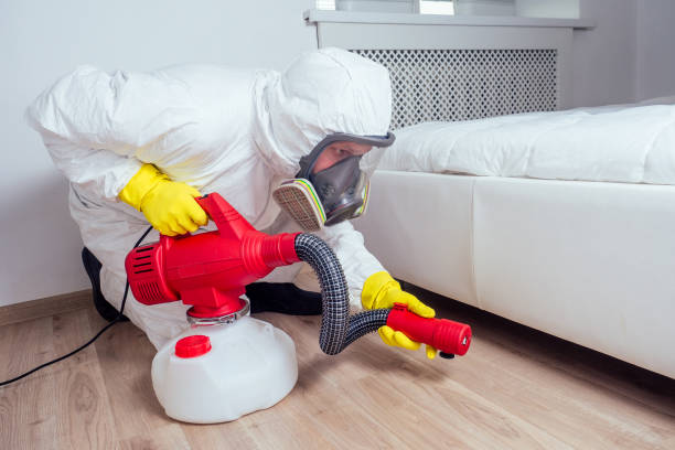 Professional Pest Control in Jefferson, IA