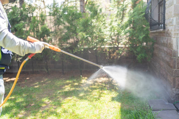 Best Mosquito Control Services  in Jefferson, IA