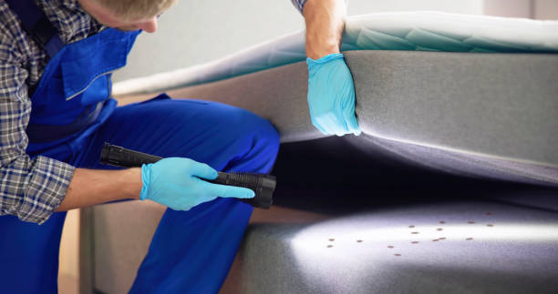 Best Residential Pest Control  in Jefferson, IA