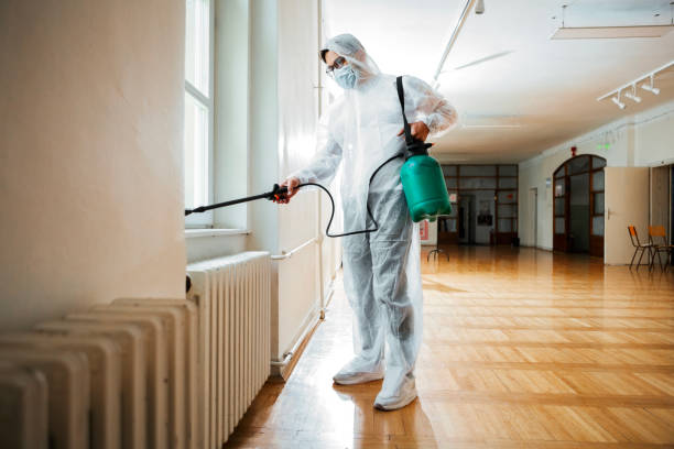 Best Cockroach Control Services  in Jefferson, IA