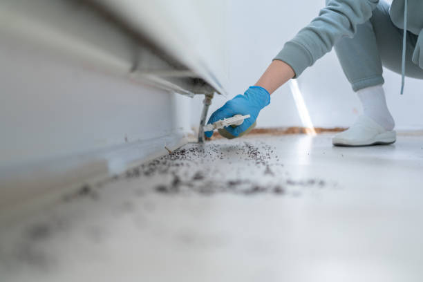 Best Best Pest Control Companies  in Jefferson, IA